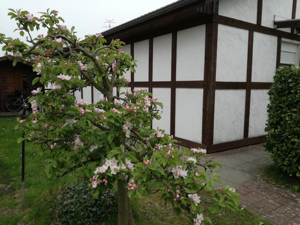 Ferienhaus Apfelbluete Twielenfleth Ngoại thất bức ảnh